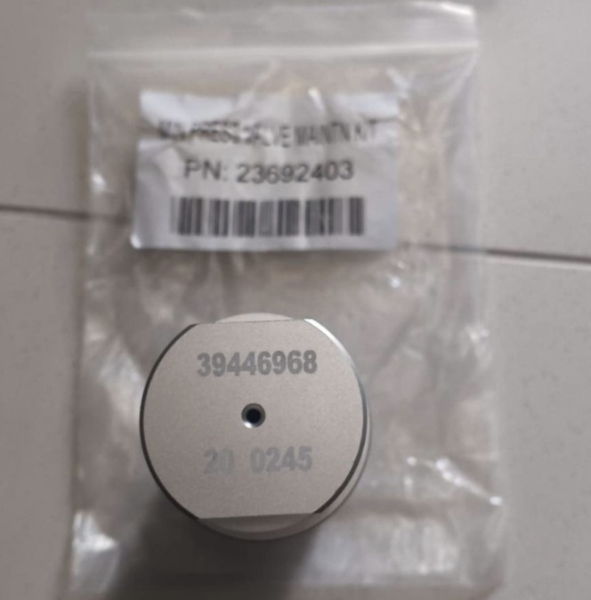 23692403